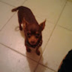 Meet your Posher, Lorena